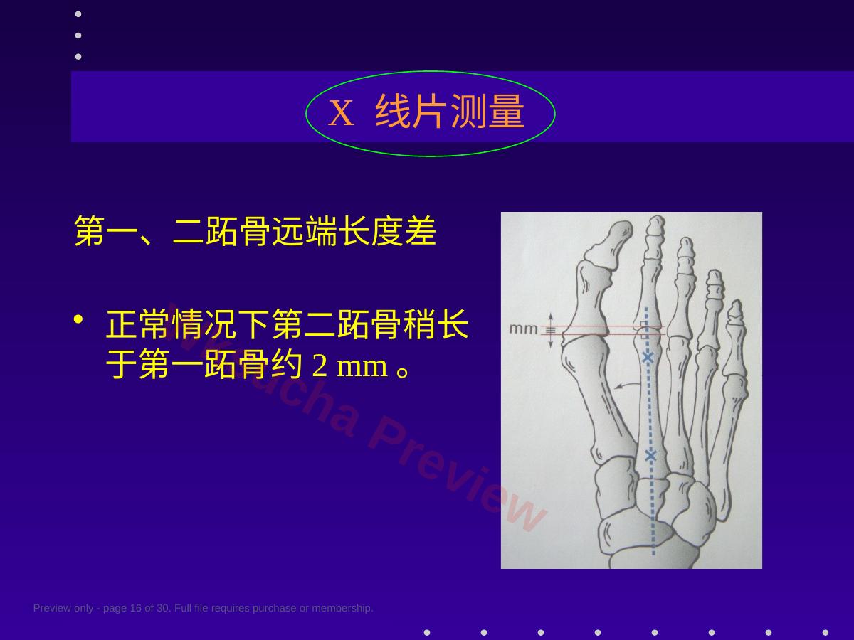 预览第 16 页
