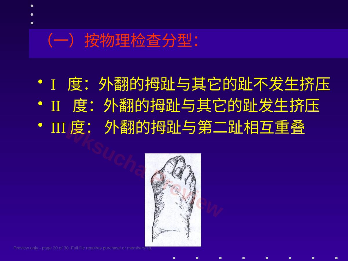 预览第 20 页