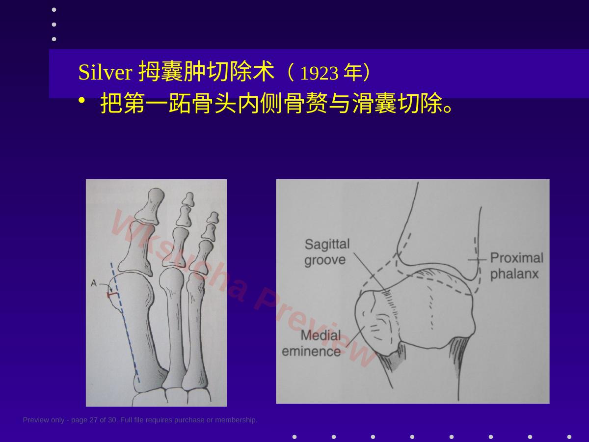 预览第 27 页