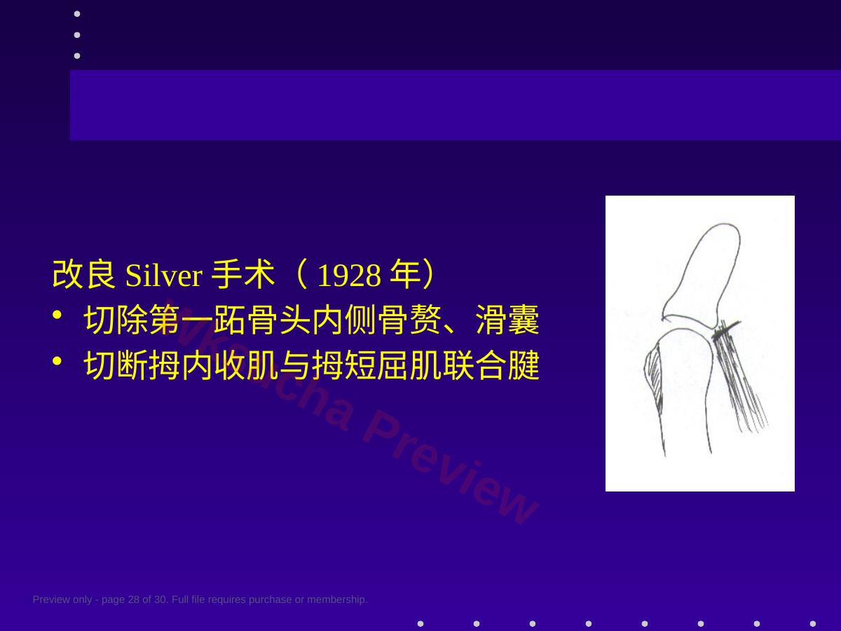 预览第 28 页
