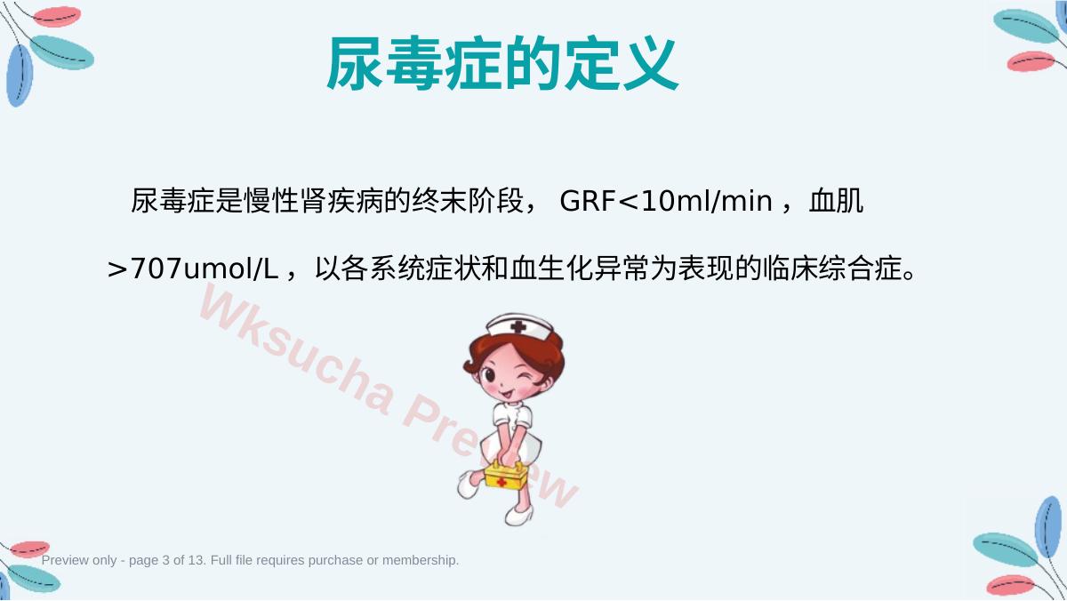 预览第 3 页
