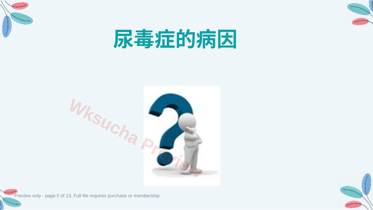 预览第 5 页