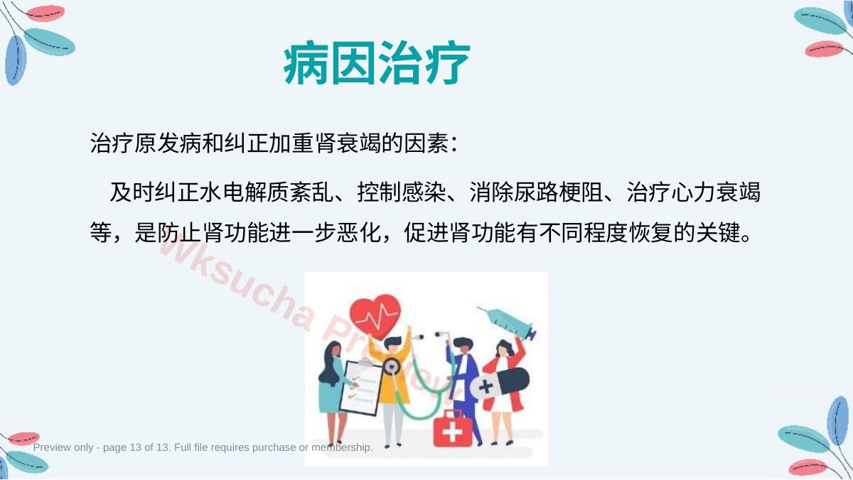 预览第 13 页