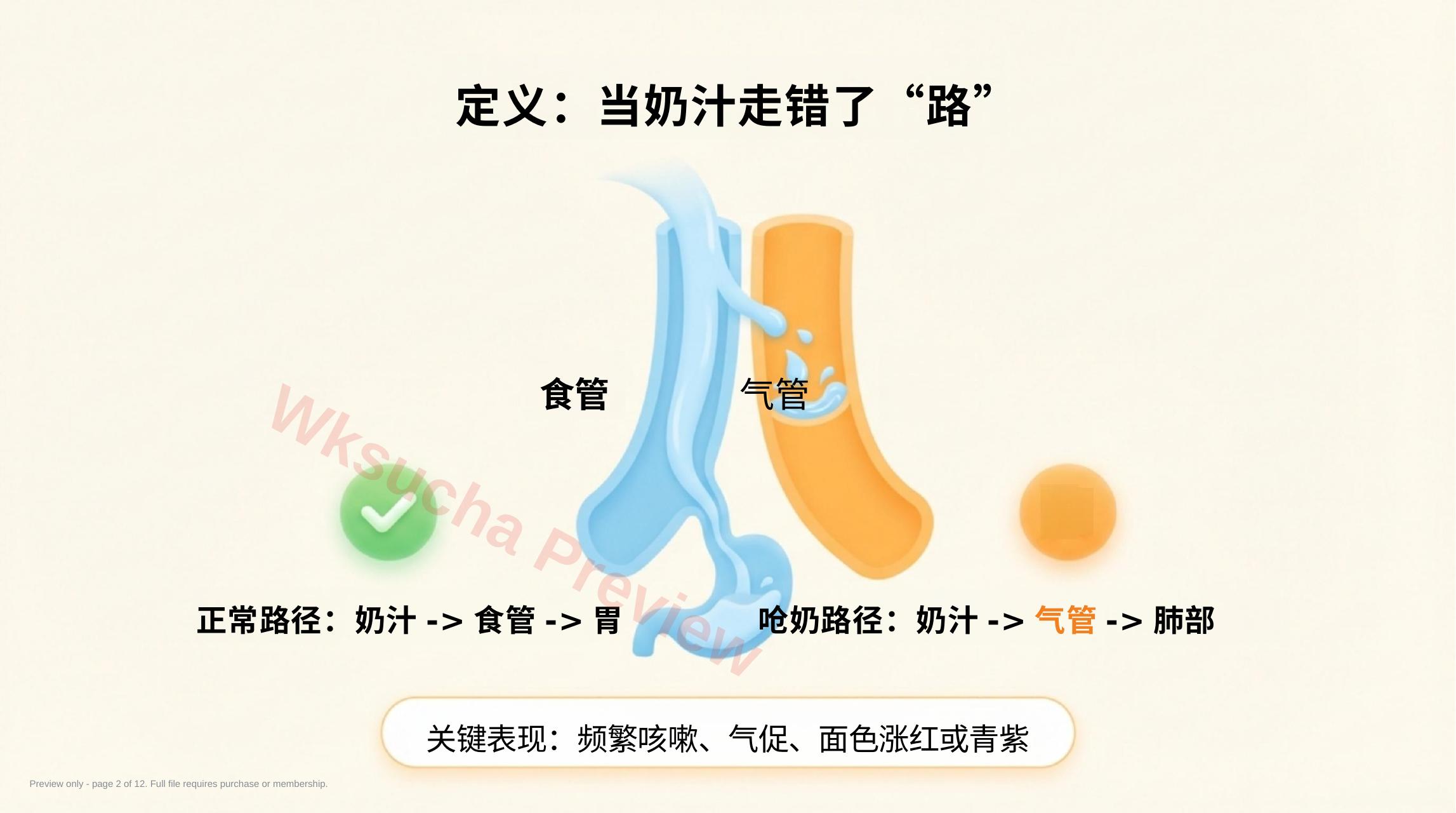 预览第 2 页