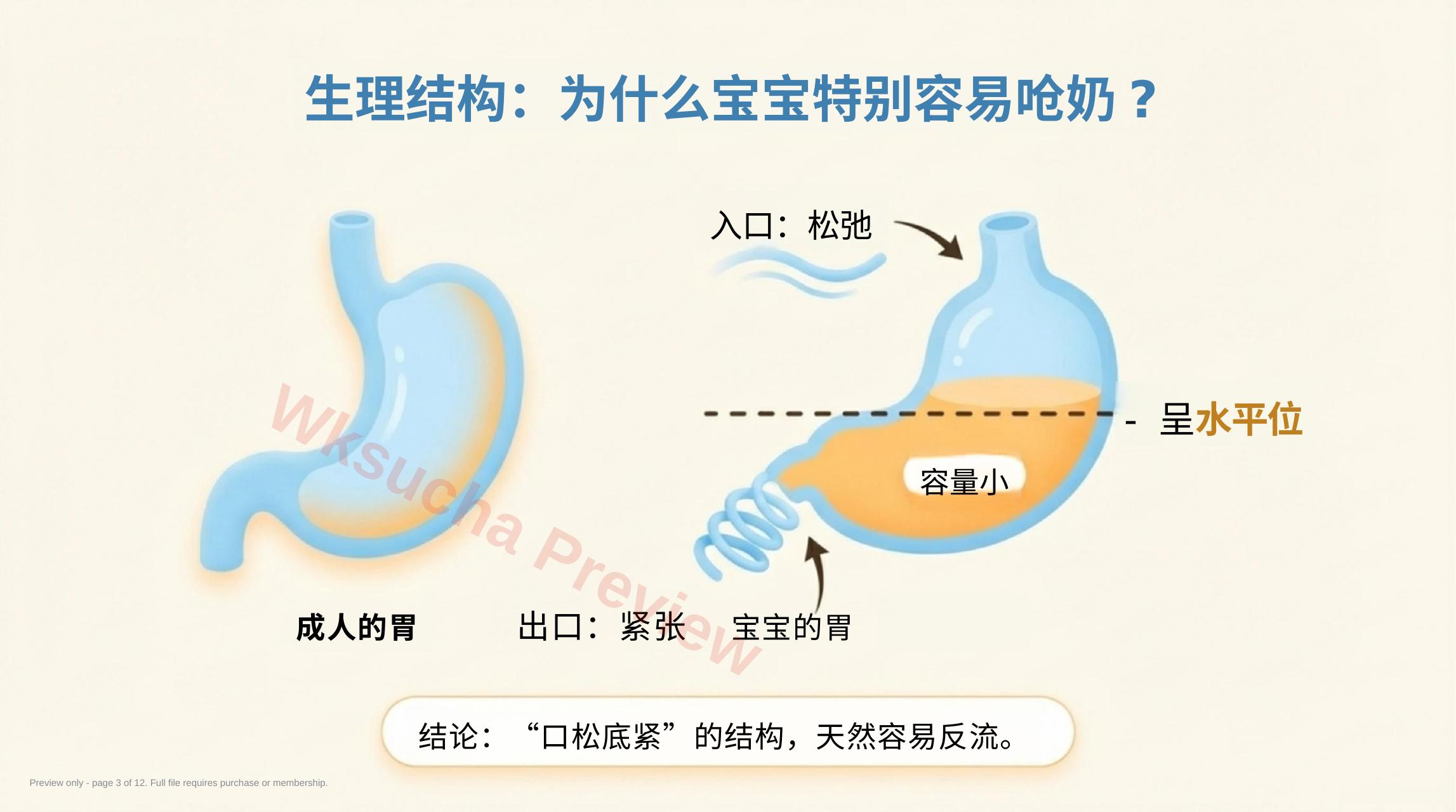 预览第 3 页
