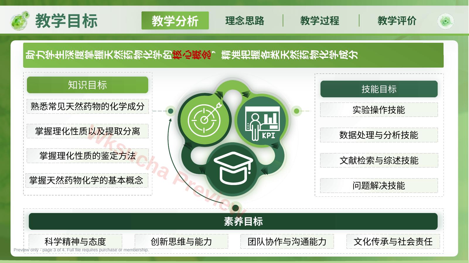 预览第 3 页