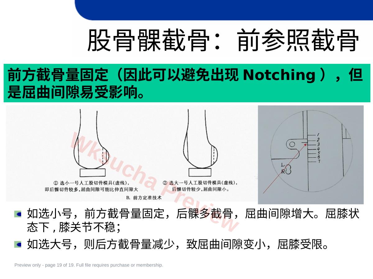 预览第 19 页