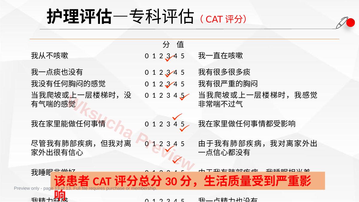 预览第 13 页