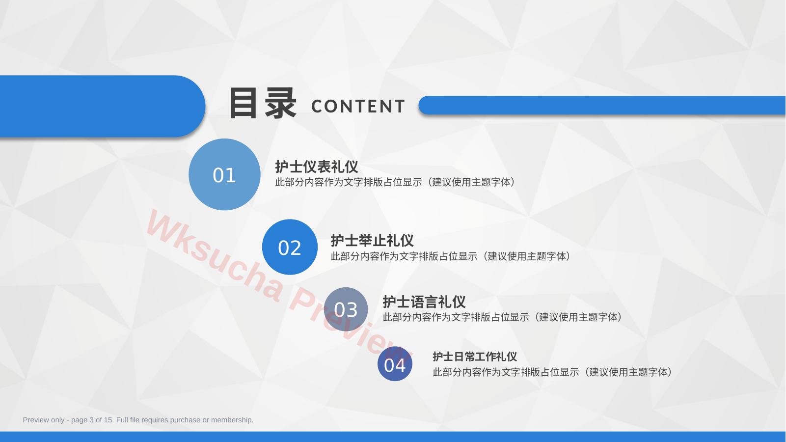 预览第 3 页