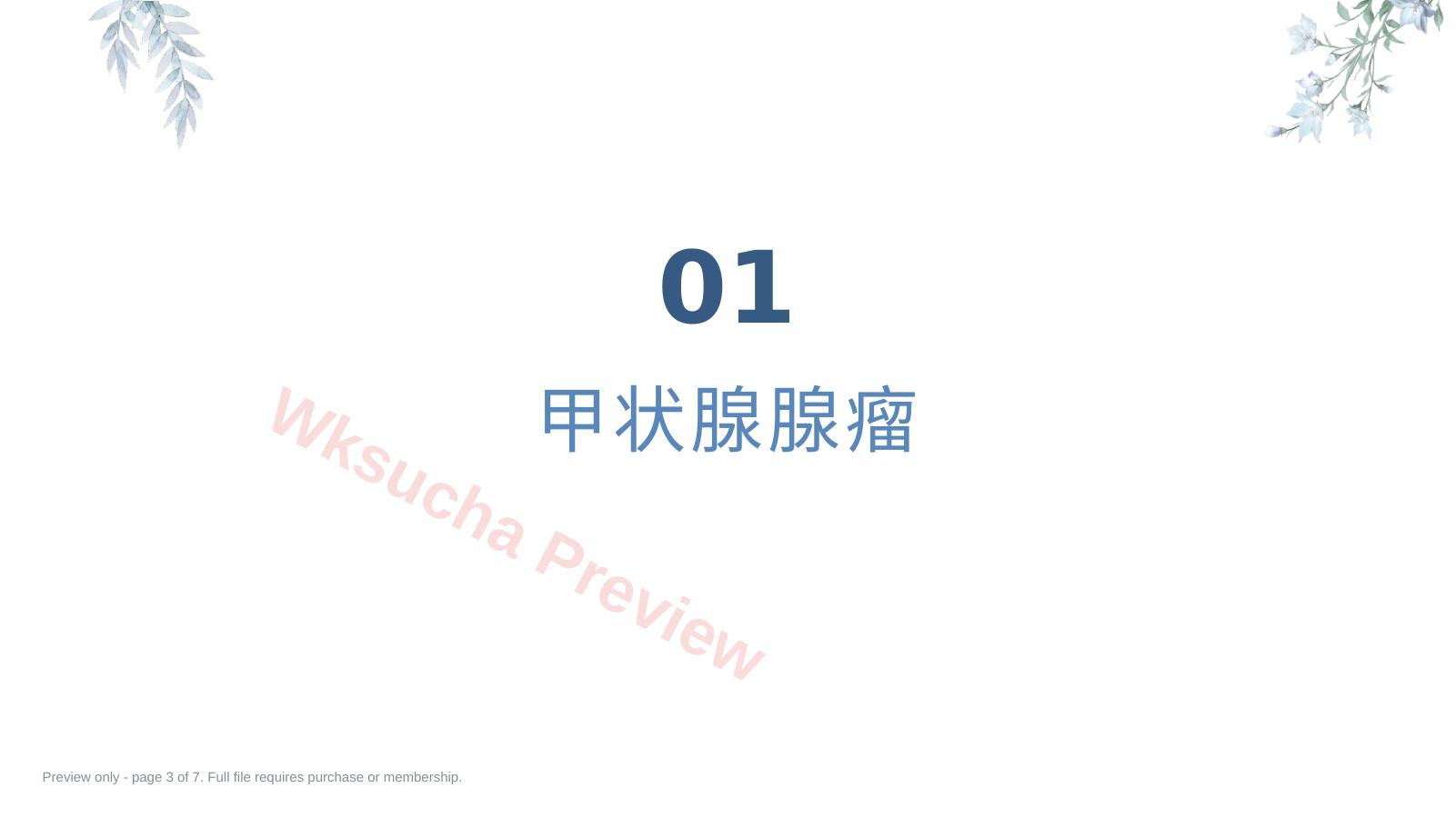 预览第 3 页
