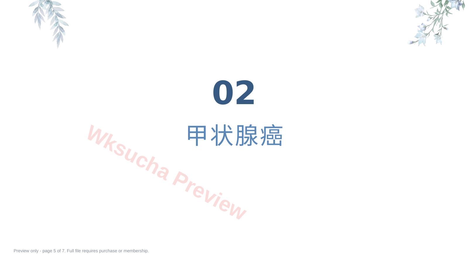 预览第 5 页