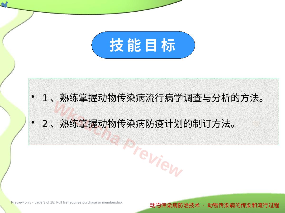 预览第 3 页
