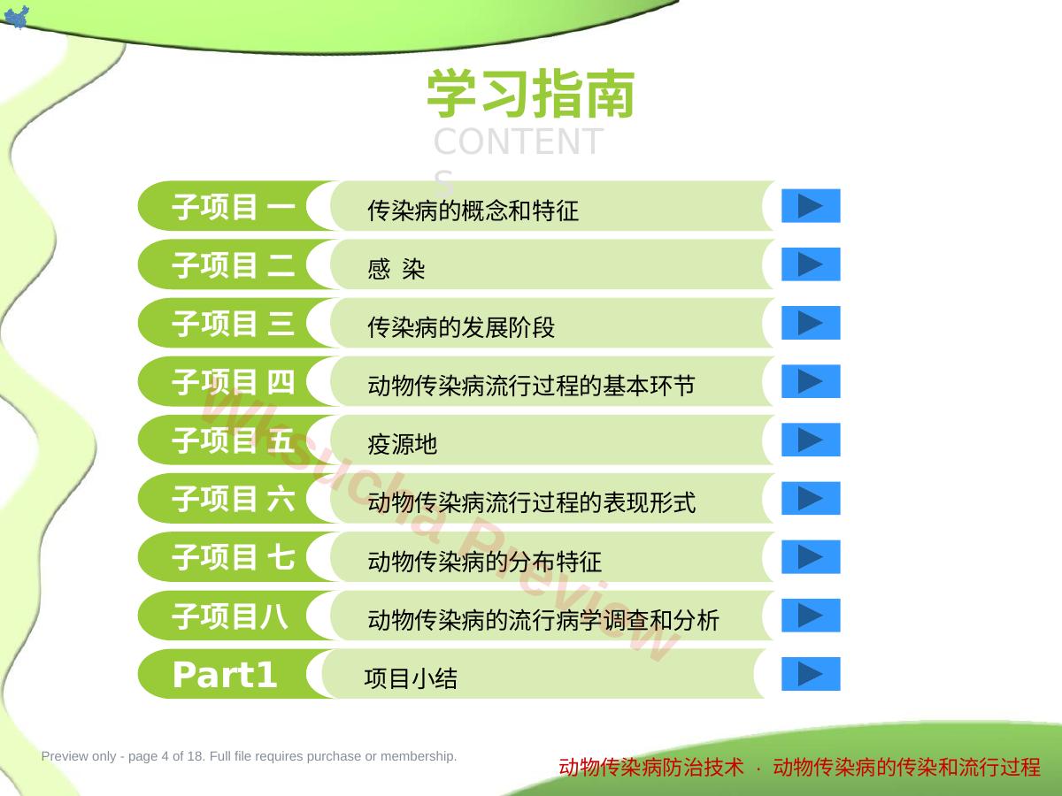 预览第 4 页