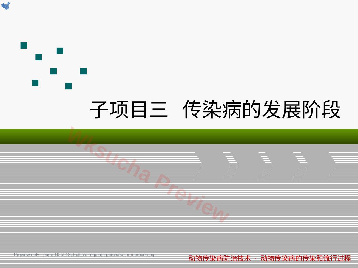 预览第 10 页