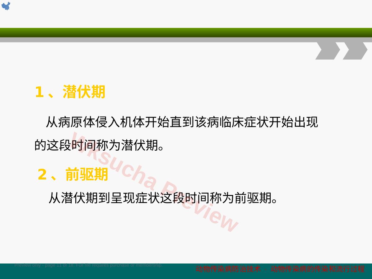 预览第 11 页