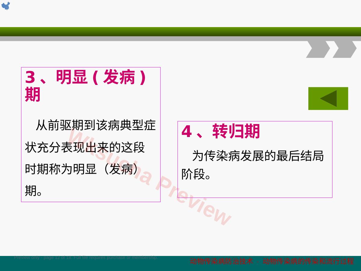 预览第 12 页