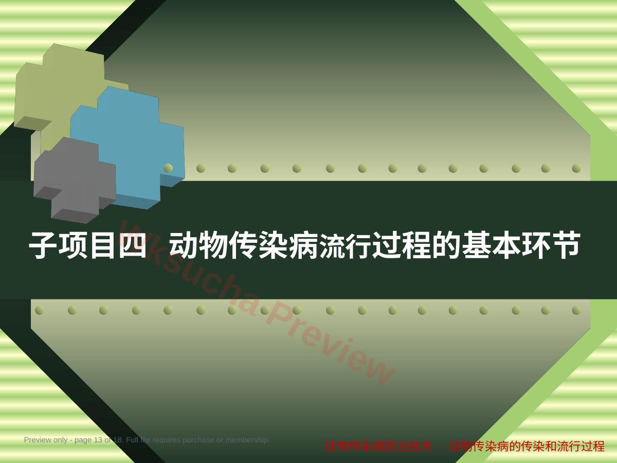 预览第 13 页