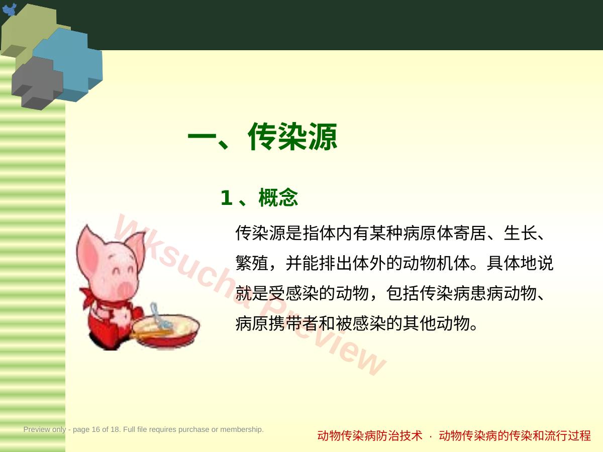 预览第 16 页