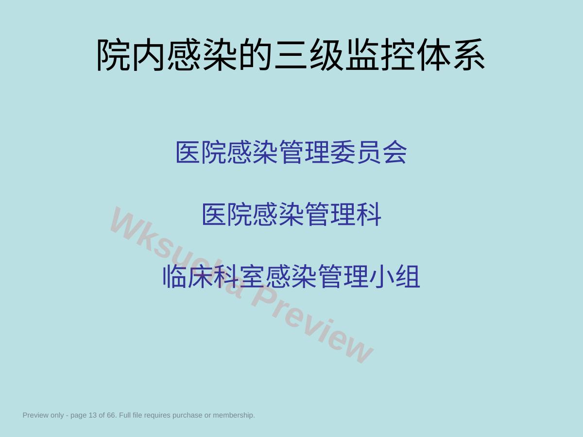 预览第 13 页