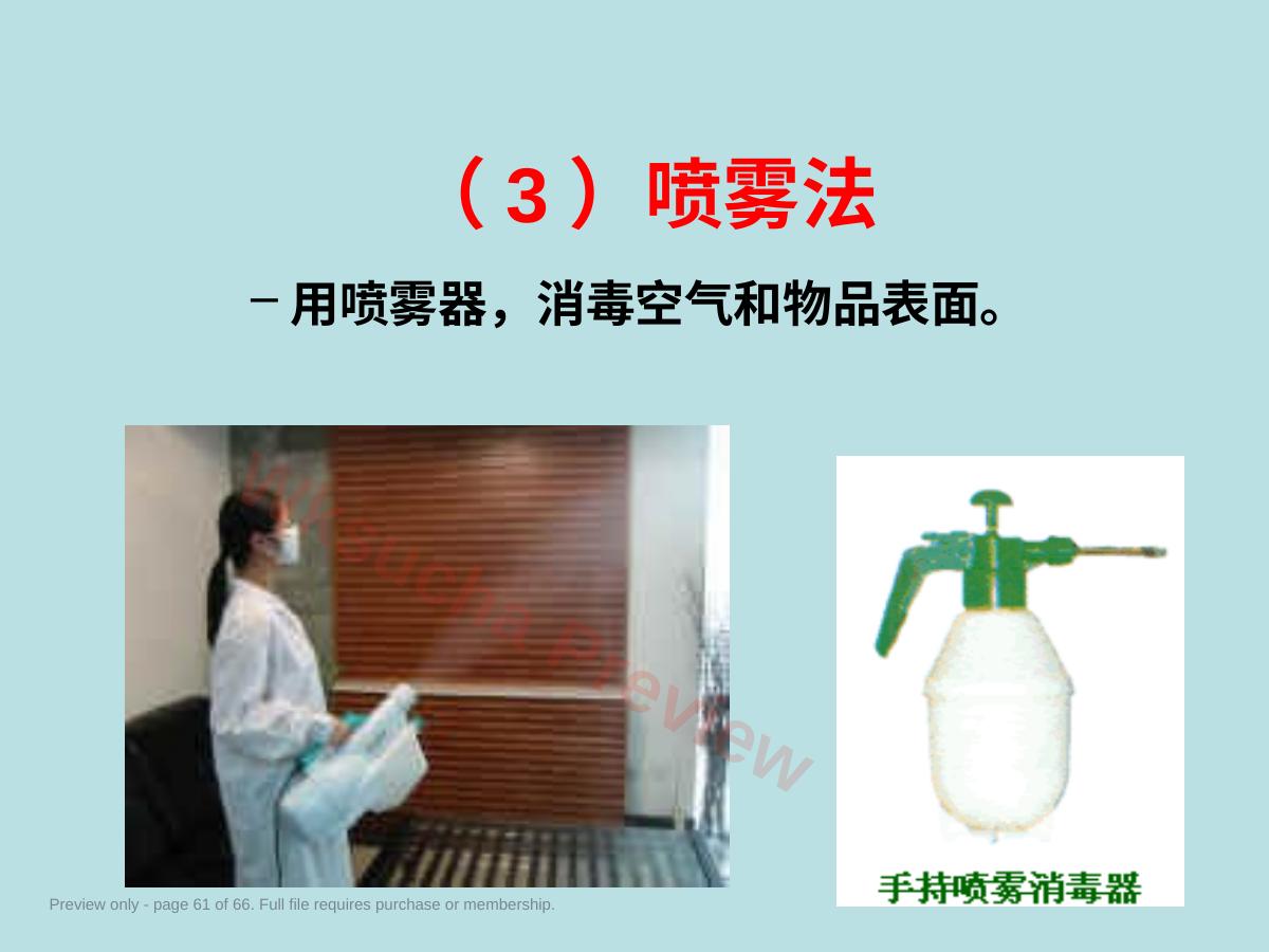 预览第 61 页
