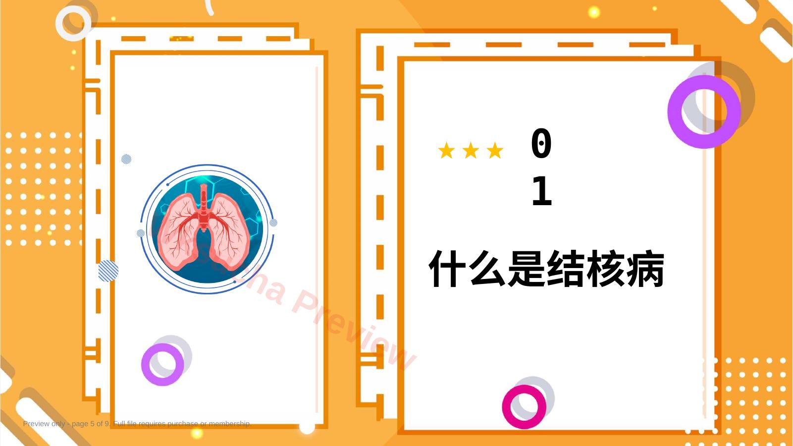 预览第 5 页