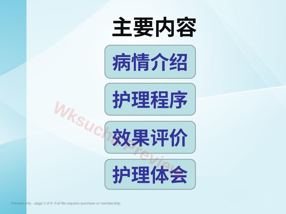 预览第 2 页