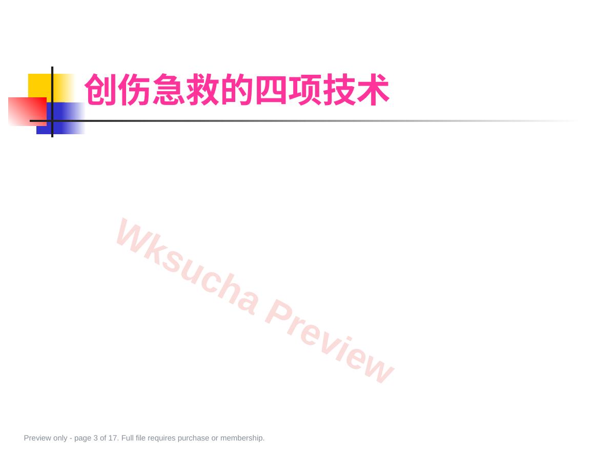 预览第 3 页