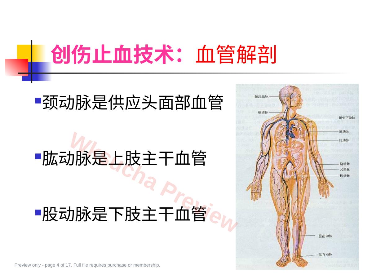 预览第 4 页