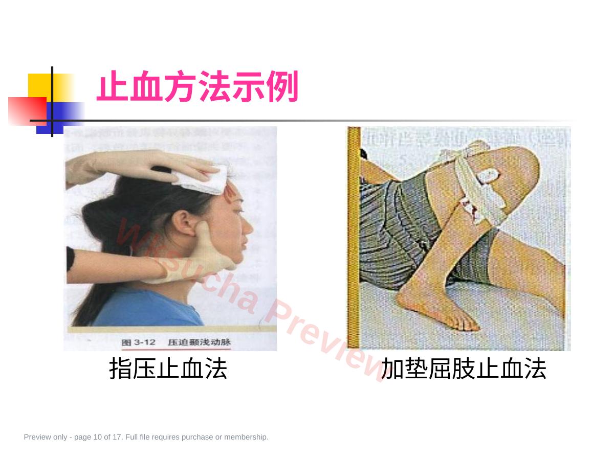 预览第 10 页