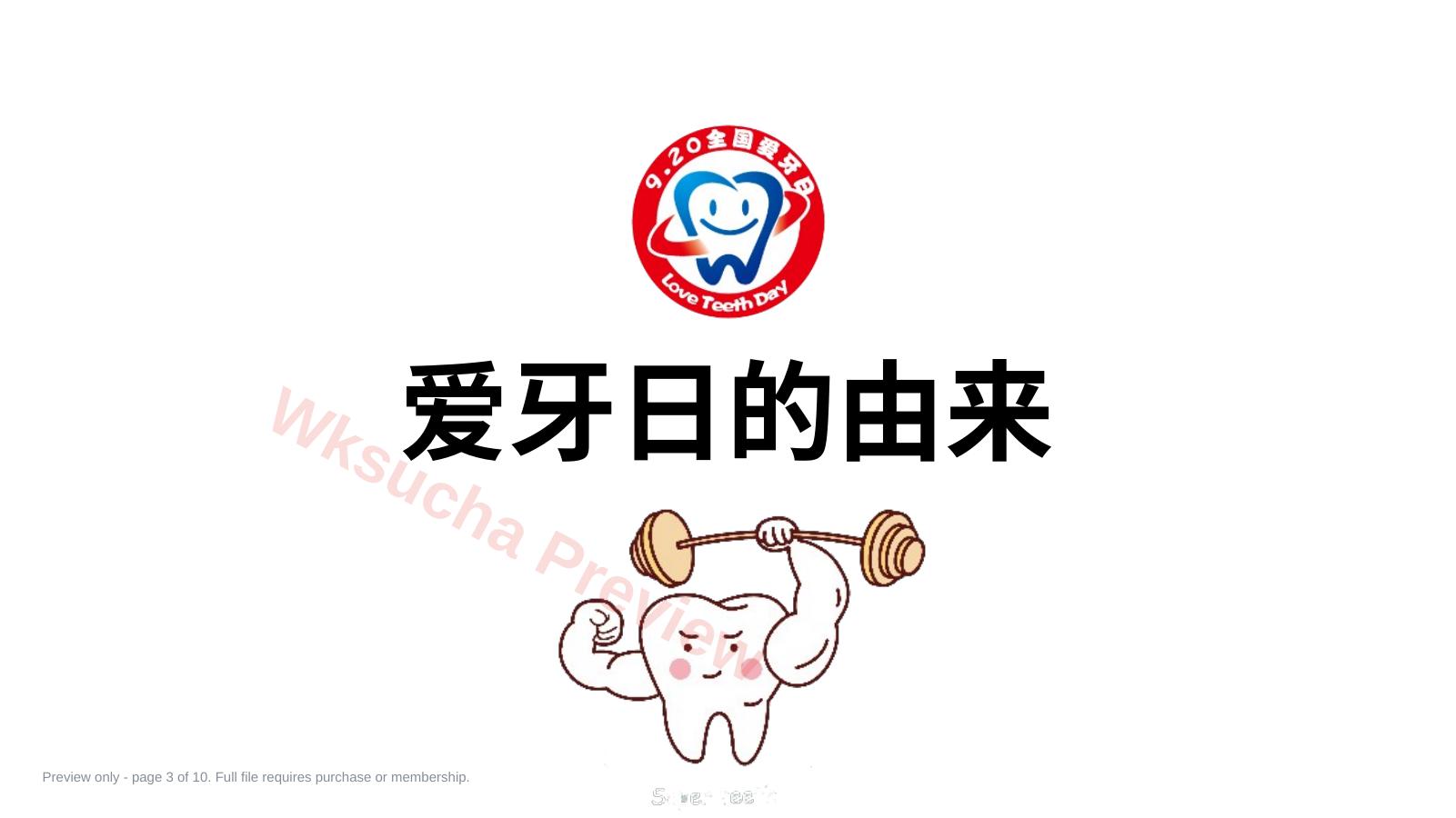 预览第 3 页