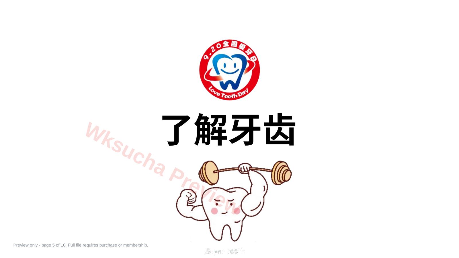 预览第 5 页
