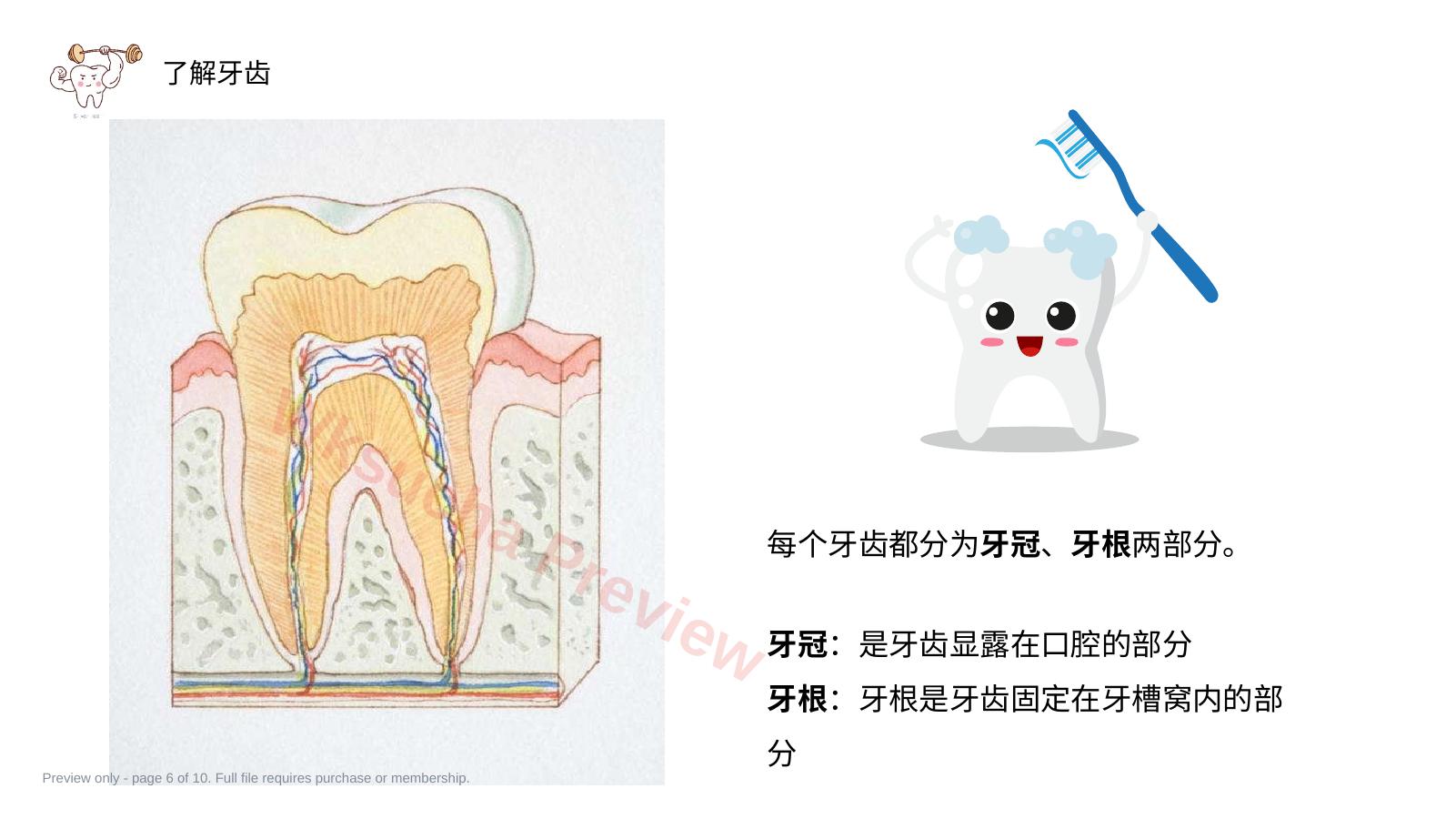 预览第 6 页