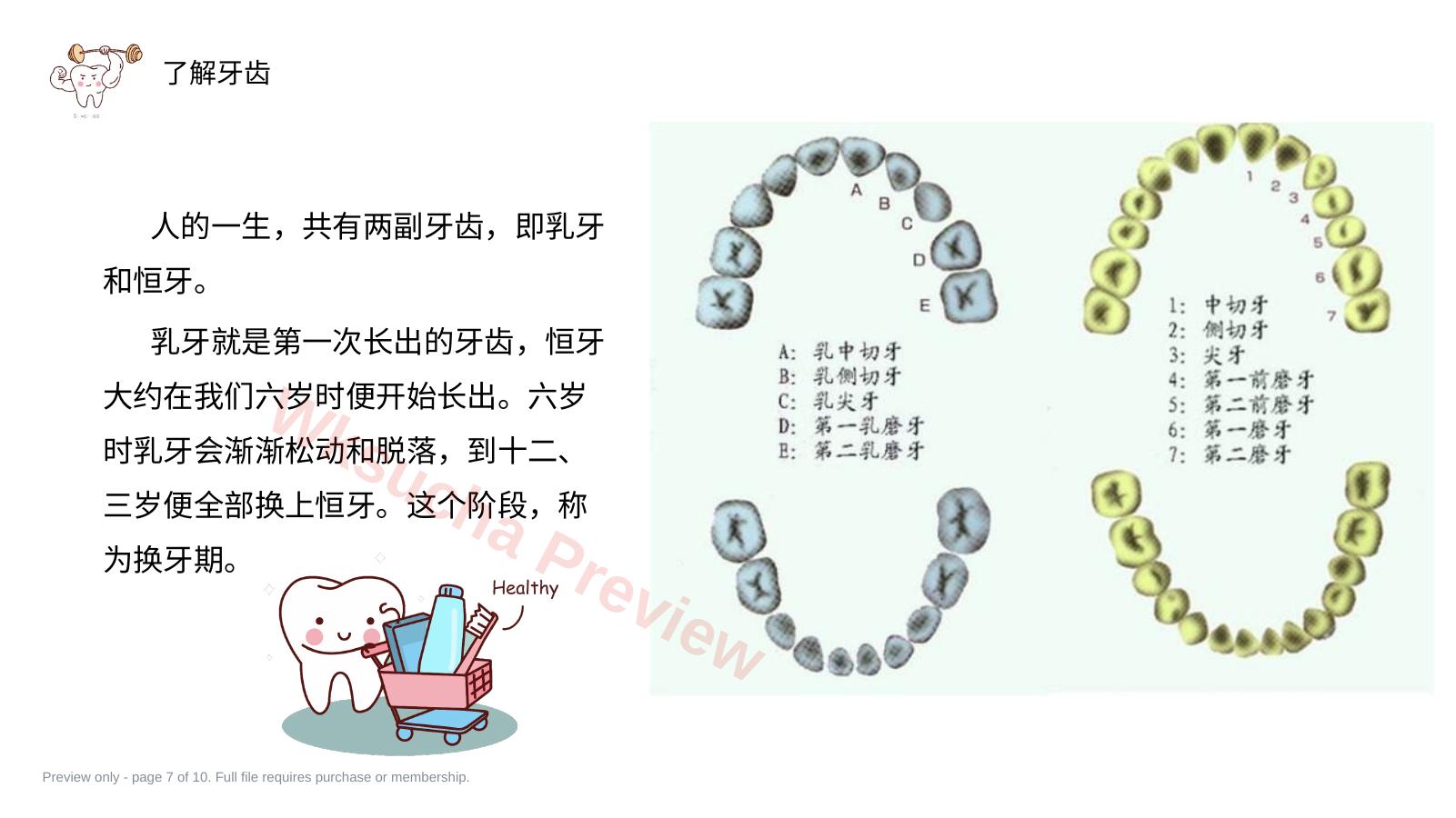 预览第 7 页