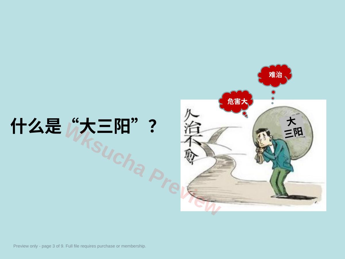 预览第 3 页