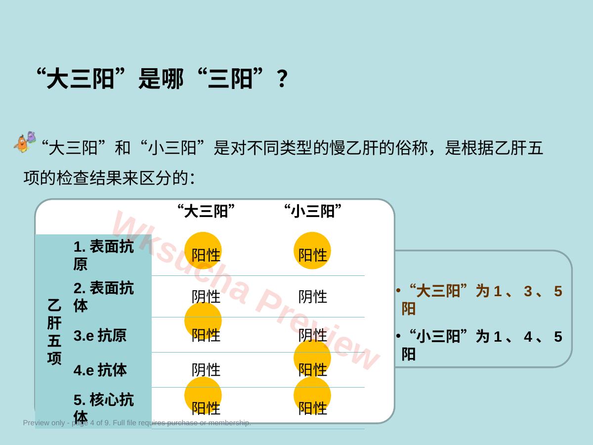 预览第 4 页