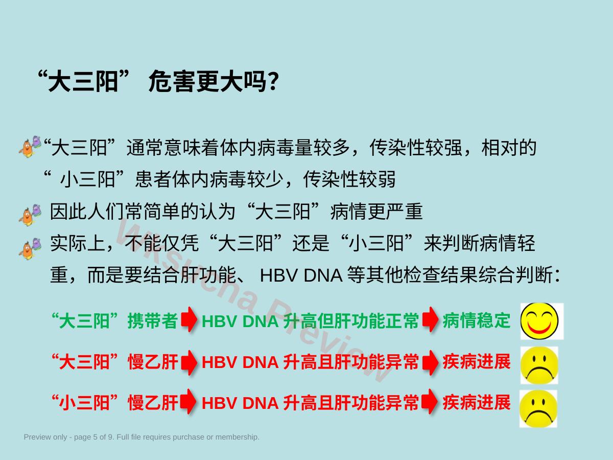 预览第 5 页