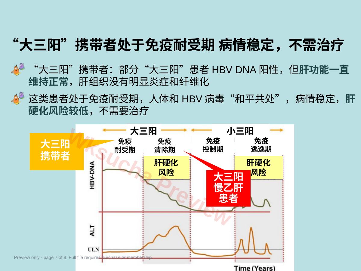 预览第 7 页