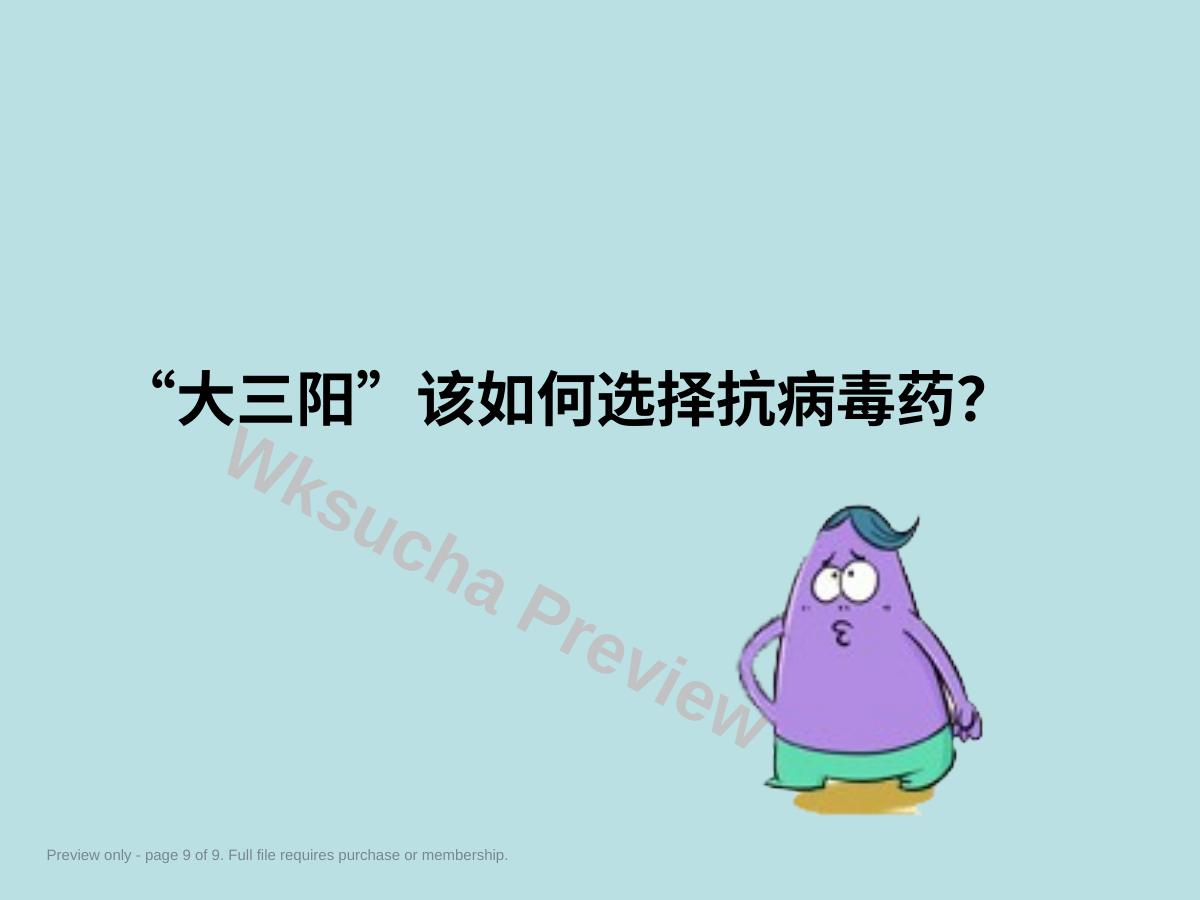 预览第 9 页