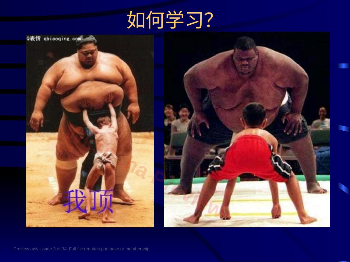 预览第 3 页