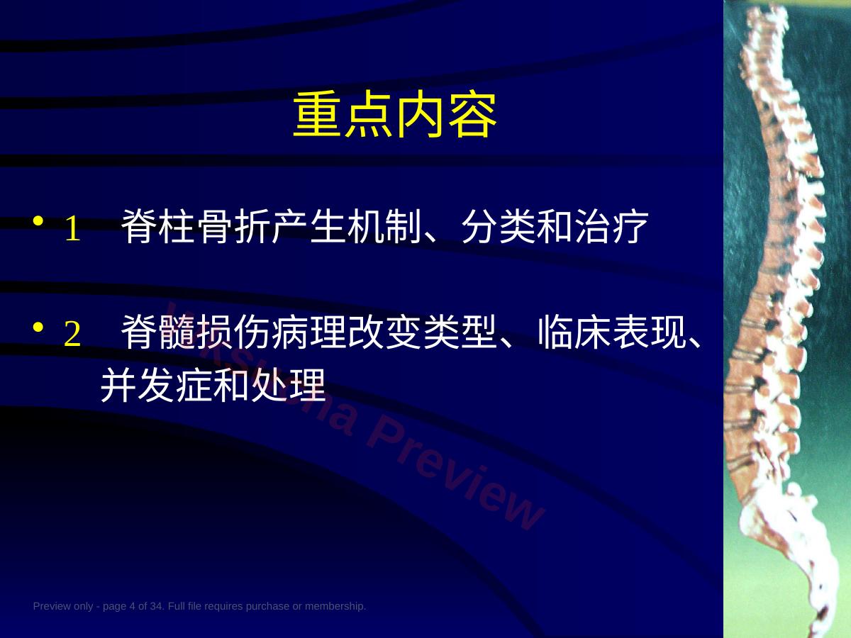 预览第 4 页