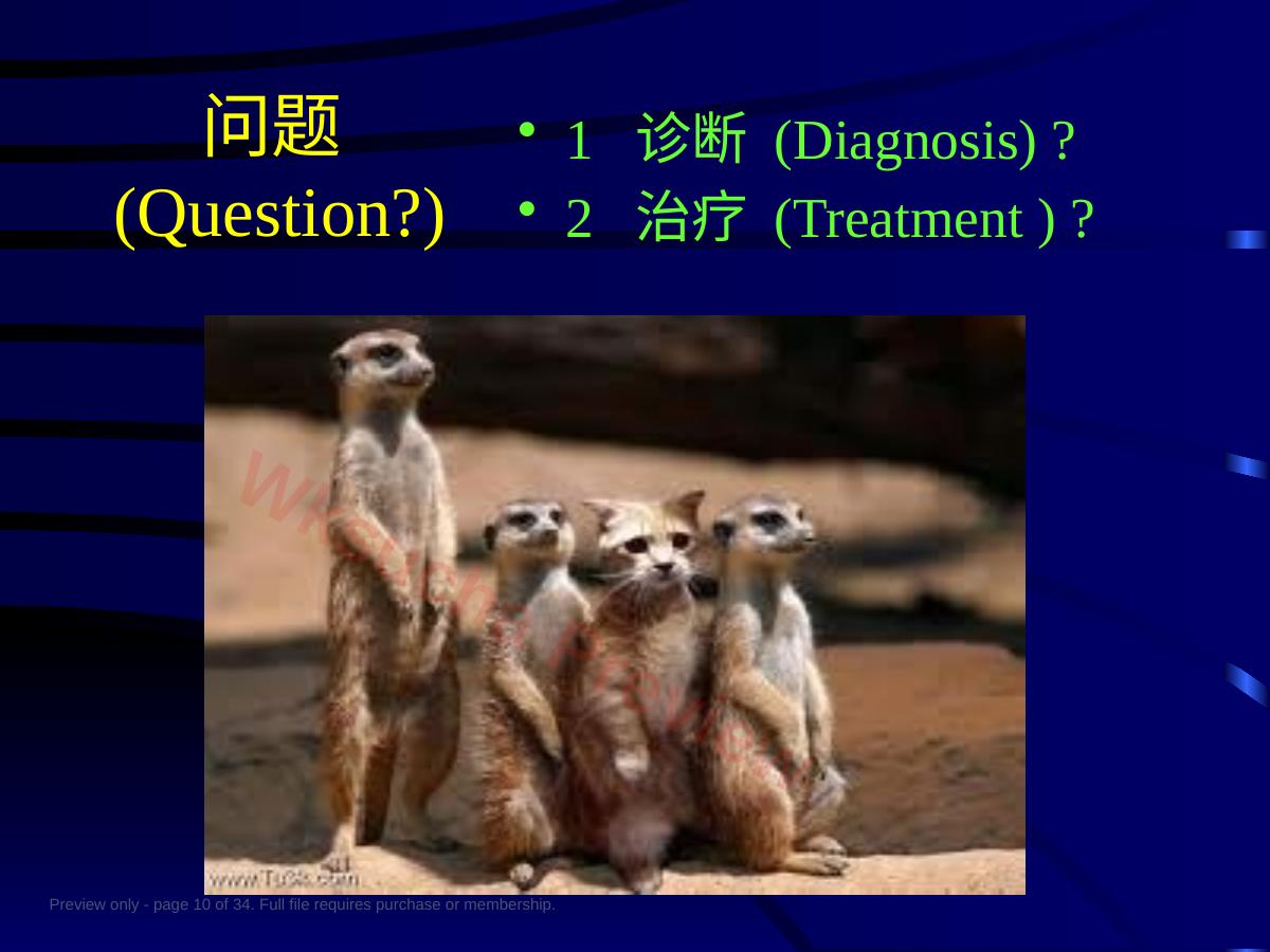 预览第 10 页