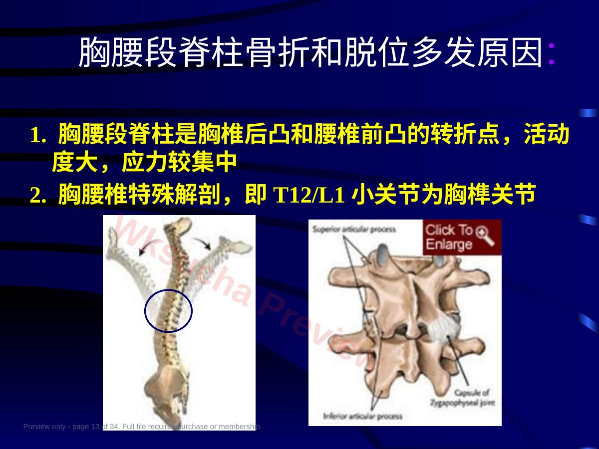预览第 13 页