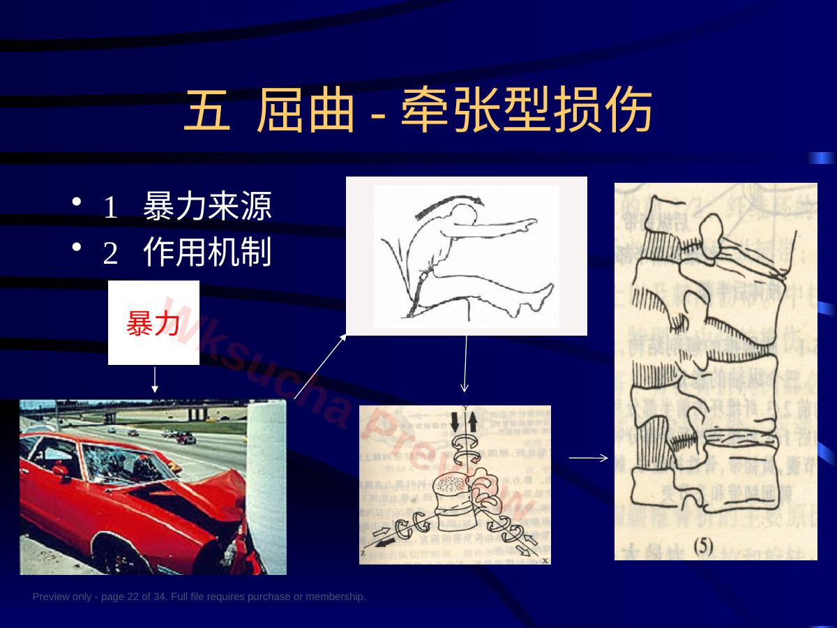 预览第 22 页