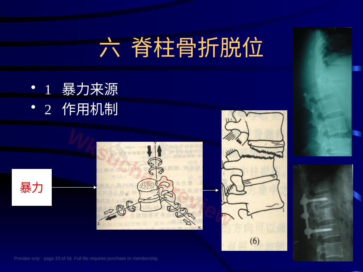 预览第 23 页
