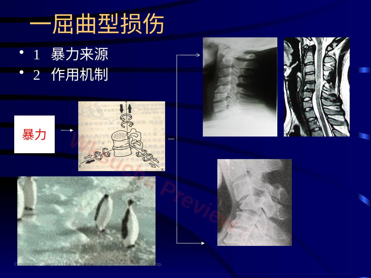 预览第 27 页