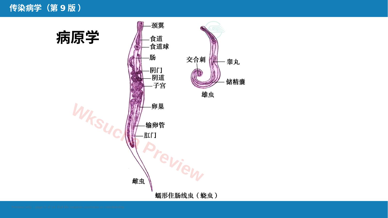 预览第 5 页