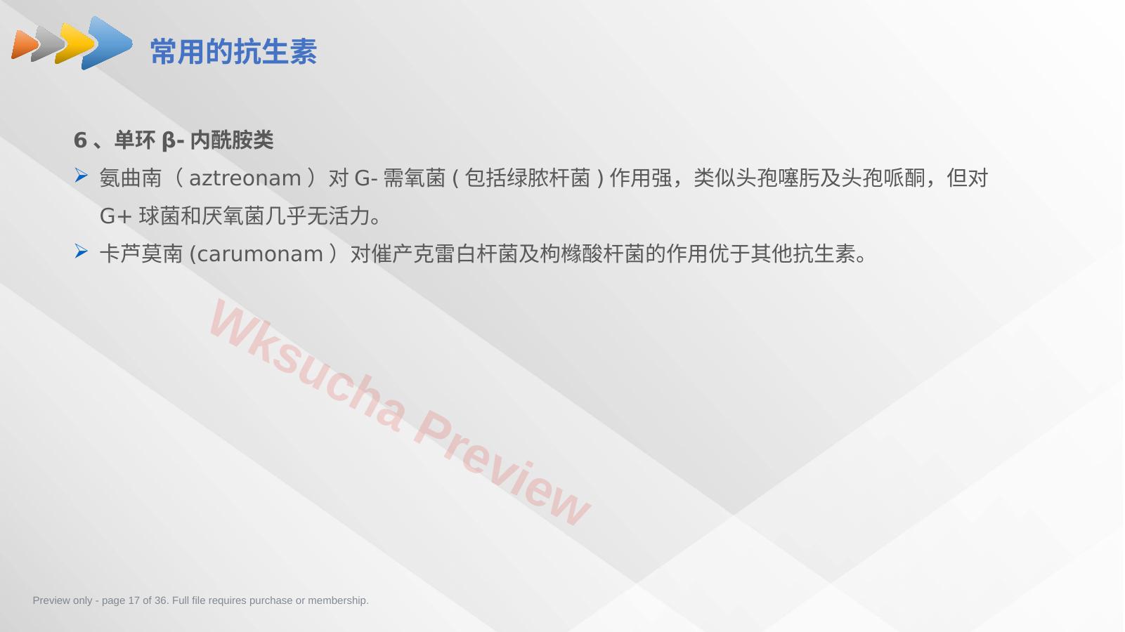 预览第 17 页