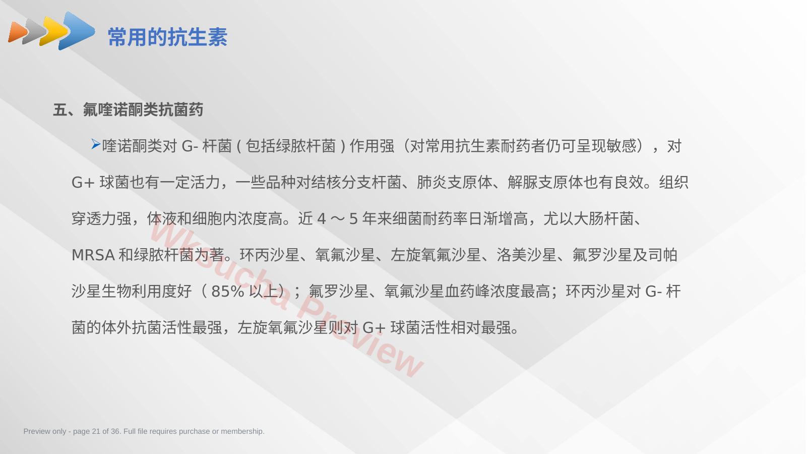 预览第 21 页