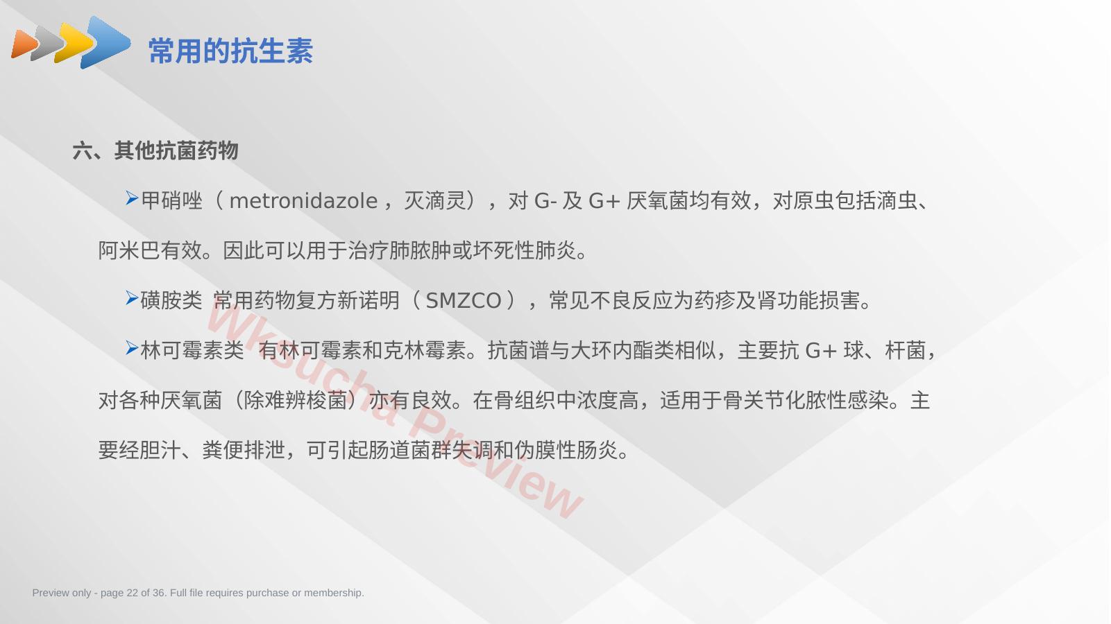 预览第 22 页