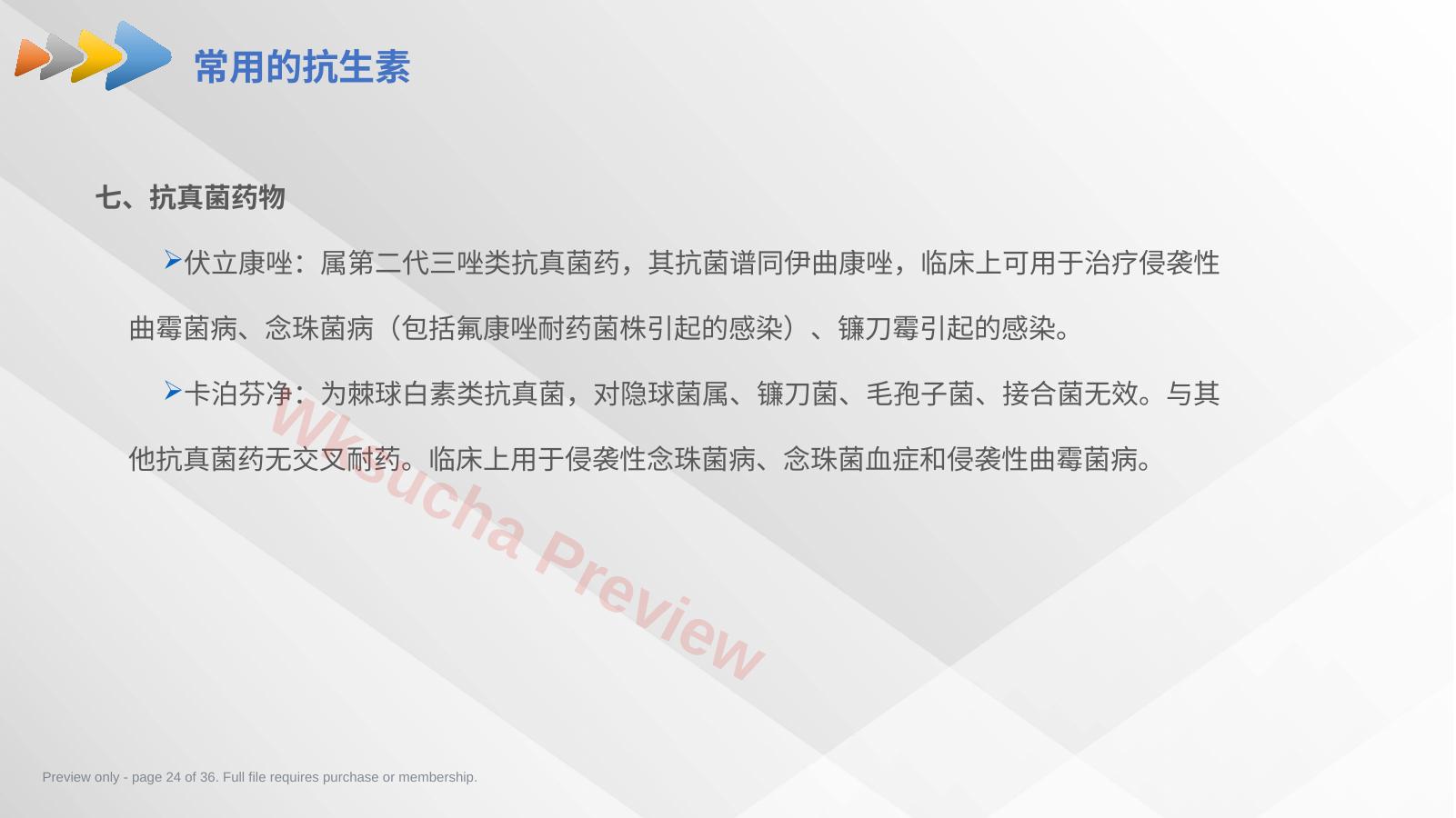 预览第 24 页